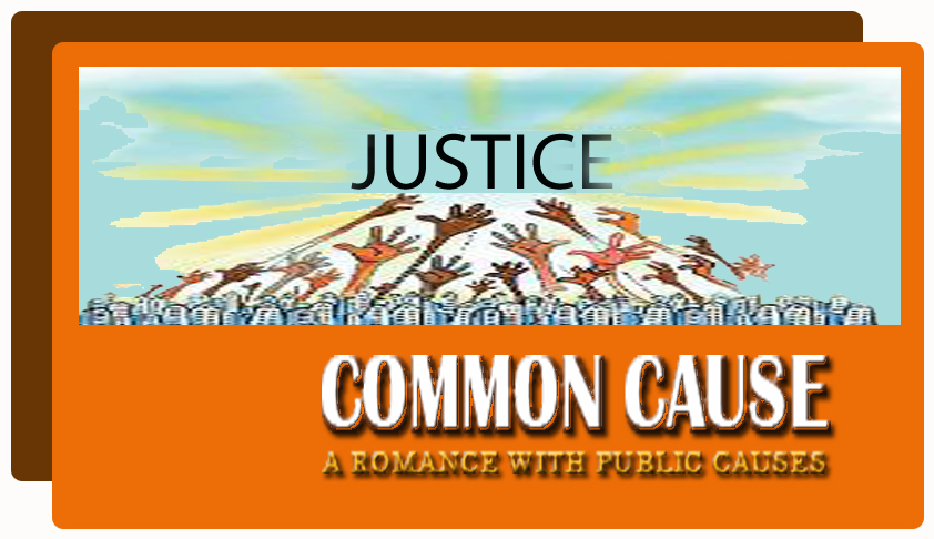 ‘Pro bono publico’, Crusades for ‘Common’ ‘Pro bono publico’, Crusades for ‘Common’