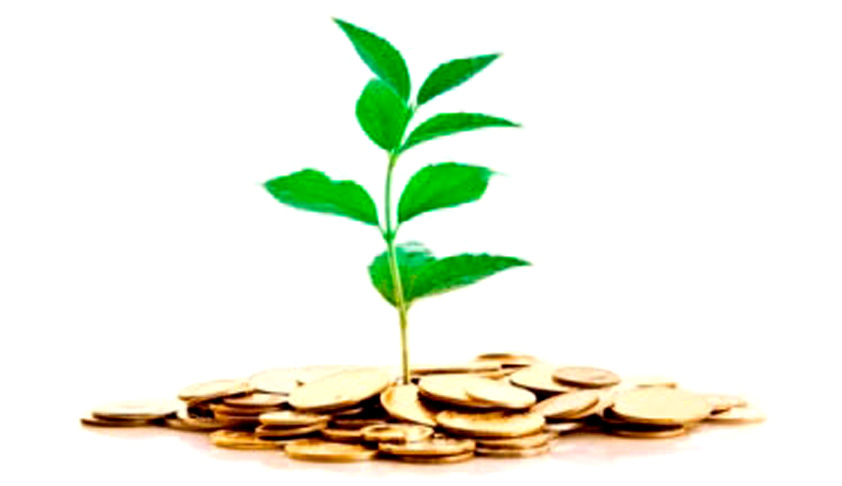 Are Fraudulent Collective Investment Schemes taking SEBI for a ride?