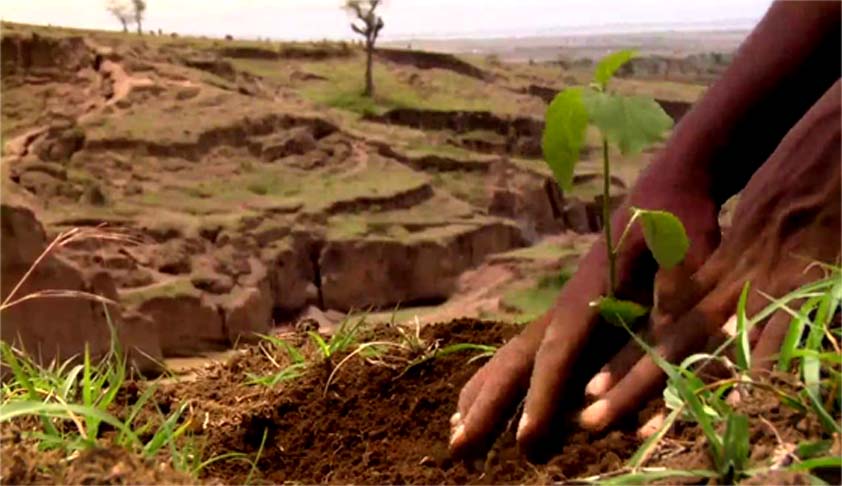 Compensatory Afforestation Fund Bill, 2016 Passed by Rajya Sabha Compensatory Afforestation Fund Bill, 2016 Passed by Rajya Sabha