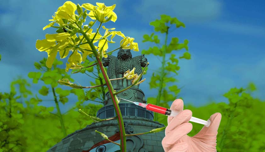 Centre To Decide On GM Mustard By Sept