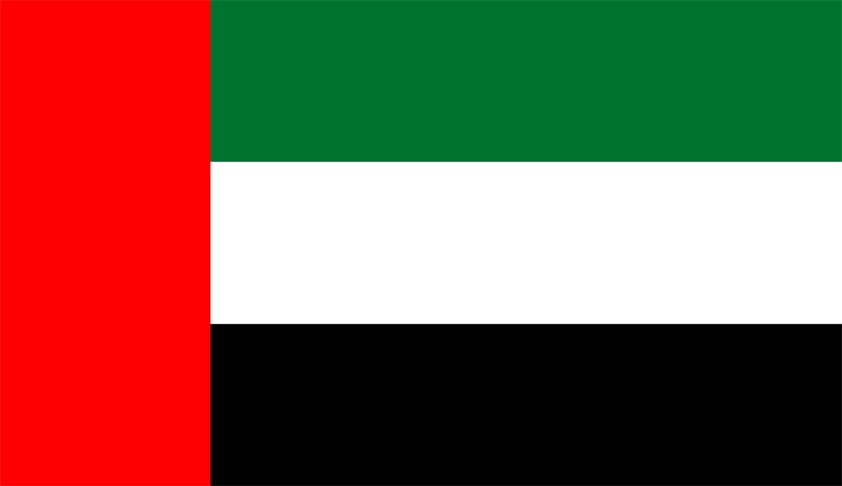 Understanding The UAE Legal System Understanding The UAE Legal System