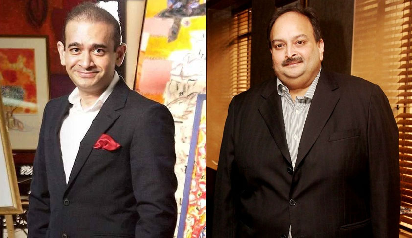 PNB Fraud: NCLT Prohibits Nirav Modi, Mehul Choksi And 62 Others From Selling Their Assets [Read Order]