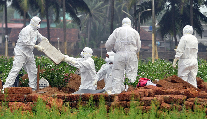 Kerala High Court Showers Praise On Health Workers For Effectively Containing Nipah Virus Outbreak