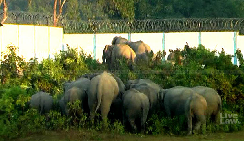 Tear Down This Wall: NGT Refuses To Review Its 2016 Order To Demolish NRL Wall Erected In Elephant Corridor Near Kaziranga Nat’l Park