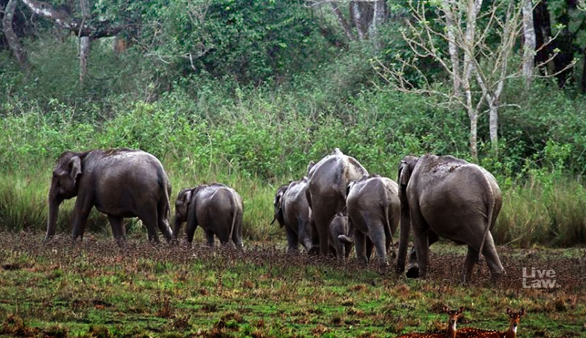 SC Orders Closure Of 27 Resorts Working Without Approval In Nilgiris Elephant Corridors [Read Order]