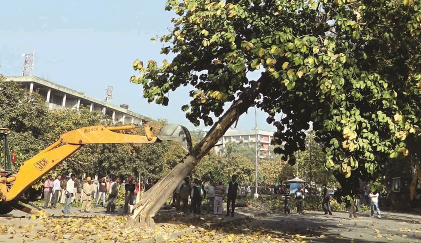 Over 1.12L Trees Axed In 13 Yrs, One Tree Every Hr: Complying With CIC Order, Delhi Govt Uploads Info On Tree Felling [Read Order]