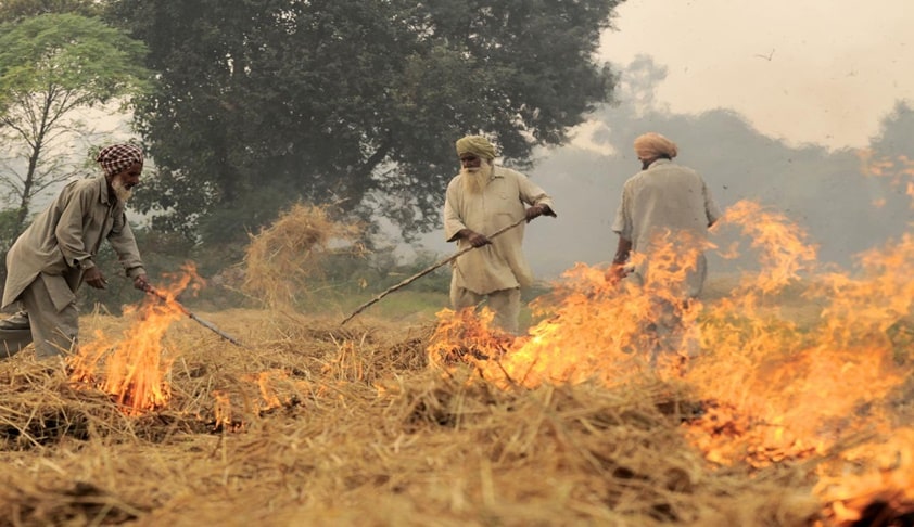 Deny Minimum Support Price To Farmers Indulging In Stubble Burning : NGT [Read Order]