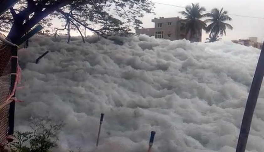 Nothing Short Of Environmental Emergency: NGT Passes Stern Directions To Revive Bangalore Lakes [Read Order]