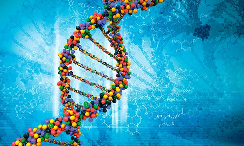 Lok Sabha Passes Bill Allowing Use Of DNA Technology For Identification [Read Bill]