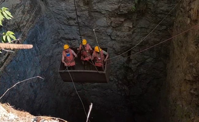 Umrangso Coal Mine Deaths: Gauhati High Court Takes Suo Motu Cognizance, Seeks Report From Assam Govt Over Illegal Mining Activities