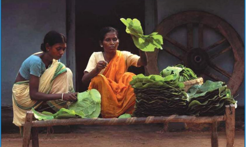 Unpacking Role Of Custodianship Over Natural Resources In Panchayats Unpacking Role Of Custodianship Over Natural Resources In Panchayats