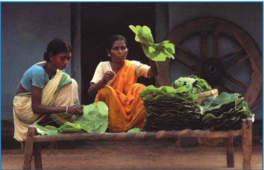Unpacking Role Of Custodianship Over Natural Resources In Panchayats Unpacking Role Of Custodianship Over Natural Resources In Panchayats