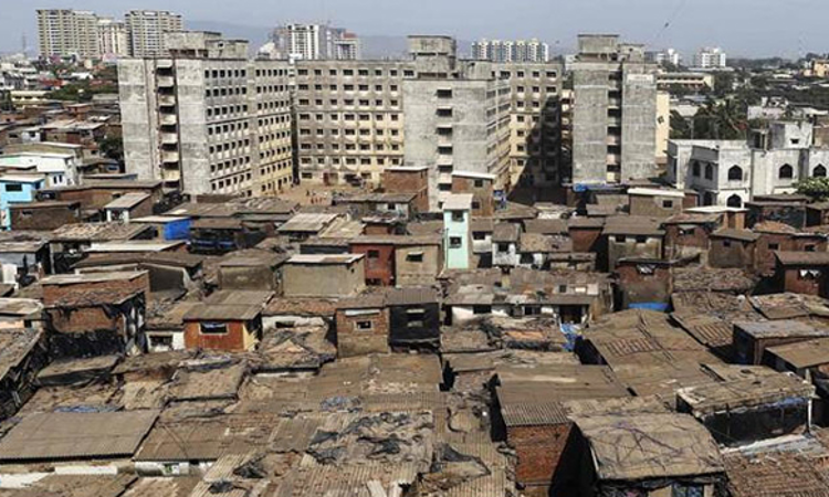 Bombay High Court Constitutes Special Bench To Review Effectiveness Of Maharashtra Slum Areas Act Bombay High Court Constitutes Special Bench To Review Effectiveness Of Maharashtra Slum Areas Act