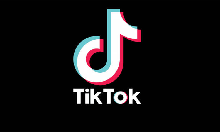 Dangerous For Children: Madras HC Prohibits Downloading Of TikTok Mobile Application [Read Order]