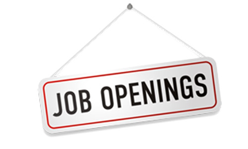 Project Associate Vacancy At The Institute Of Charted Accountants Of India Project Associate Vacancy At The Institute Of Charted Accountants Of India