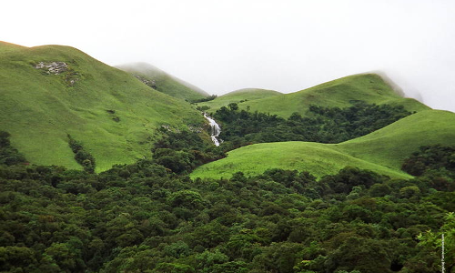 Parliament Passes Biological Diversity (Amendment) Bill, 2023