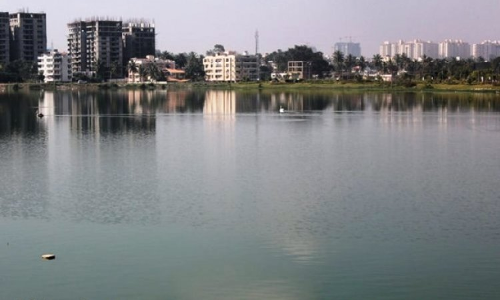 State Actively Aiding Encroachers: Telangana High Court Orders Probe Into Alleged Encroachment Of 74 Acre Govt Lake Land
