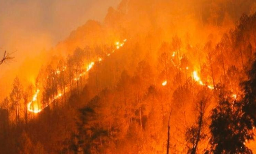 SC To Consider PIL For Steps To Prevent Wild Fires In Uttarakhand