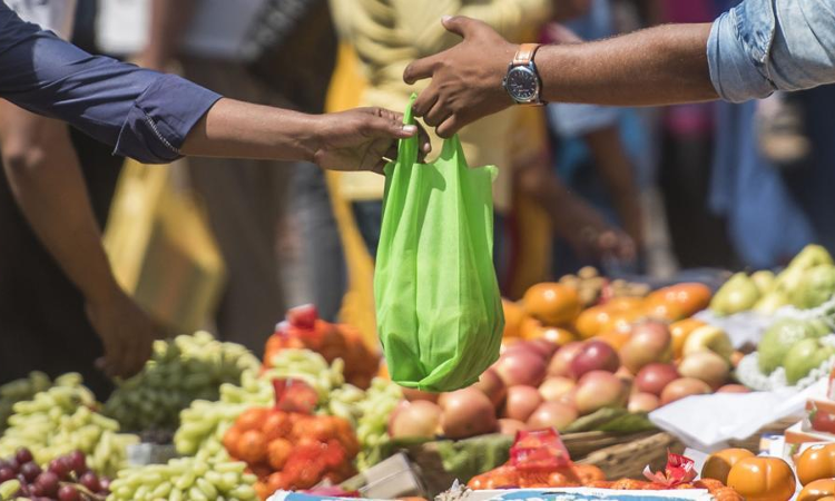 No Real Action Taken On Plastic Ban: Meghalaya High Court Orders State To Prevent Clandestine Manufacture Of Single Use Plastic No Real Action Taken On Plastic Ban: Meghalaya High Court Orders State To Prevent Clandestine Manufacture Of Single Use Plastic