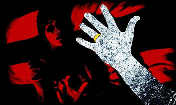 Rape And Attempt To Murder Of Lady Lawyer: BCI Chairman Writes To LG, Police For Speedy Investigation