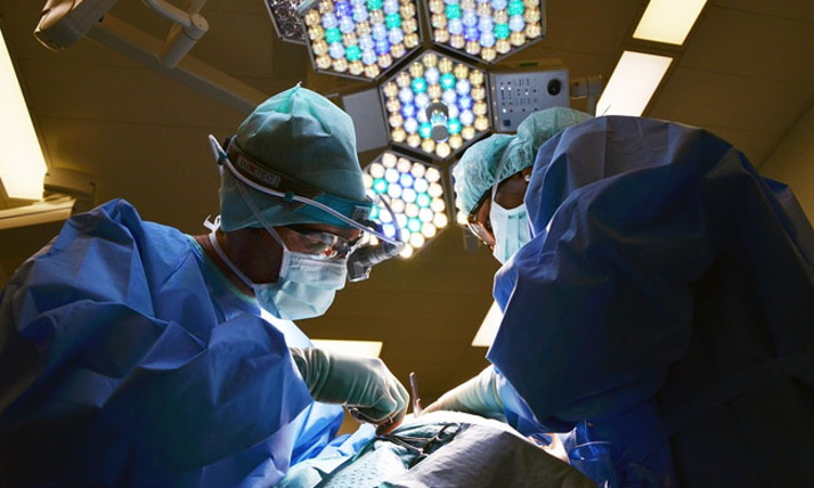 Consumer Case Not Maintainable Over Medical Services Given Free Of Charge Just Because Doctor Draws Salary From Hospital : Supreme Court Consumer Case Not Maintainable Over Medical Services Given Free Of Charge Just Because Doctor Draws Salary From Hospital : Supreme Court