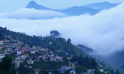 Madras HC Limits Tourist Vehicles Entering Nilgiris & Kodaikanal During Summer, Asks For Preference To Be Given To Electric Cars