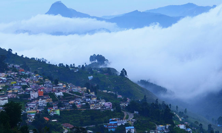 Kodaikanal Has Become Concrete Jungle : Madras HC Cracks Whip On Illegal Constructions In The Hill Station [Read Judgment]