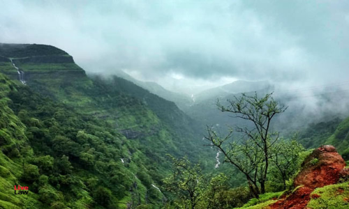 Expert Committee Suggests Before NGT To Regulate Number Of Horses To Protect Matheran Hill Station