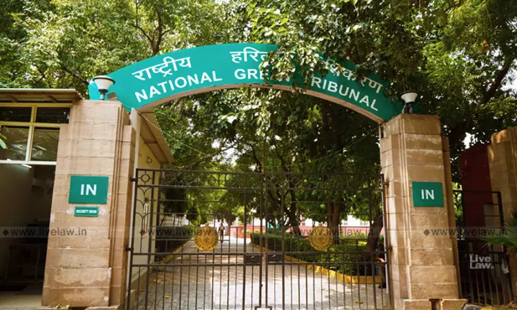 NGT Goes Online: Now You Can Approach NGT From Any Part Of India Without Your Physical Presence