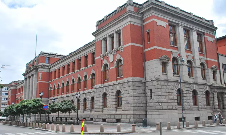 Sex-Dolls That Are Child-Like Violate Penal Provision Banning Child Abuse: Norwegian Supreme Court [Read Judgment]