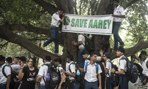 Breaking- Bombay HC Clears Cutting Of Trees In Aarey For Metro Car Shed Project [Read Judgment]