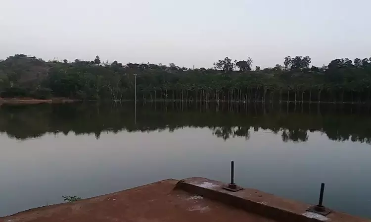 NGT Directs Karnataka State Authorities To Check Pollution In Papnash Lake NGT Directs Karnataka State Authorities To Check Pollution In Papnash Lake