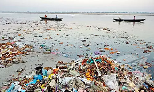 Ganga Pollution: Allahabad High Court Seeks States Response On Plea Alleging Severe Deterioration Of Water Quality