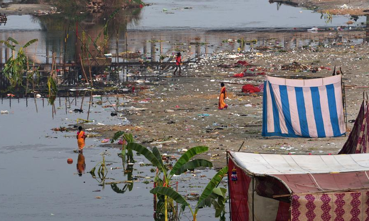 NGT Reconstitutes Committee To Check Pollution Of Sutlej River And Its Tributaries in Punjab