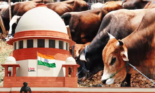 Whose Fundamental Rights Affected?: Supreme Court Refuses To Entertain Plea To Declare Cow As National Animal Of India