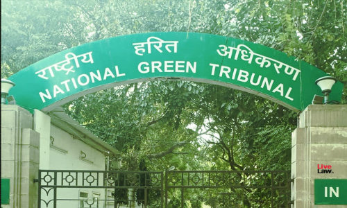 Involve NEERI And IIT Delhi In Your Study To Check Environmental Concerns Posed By Pyrolysis Industry : NGT To CPCB [Read Order]