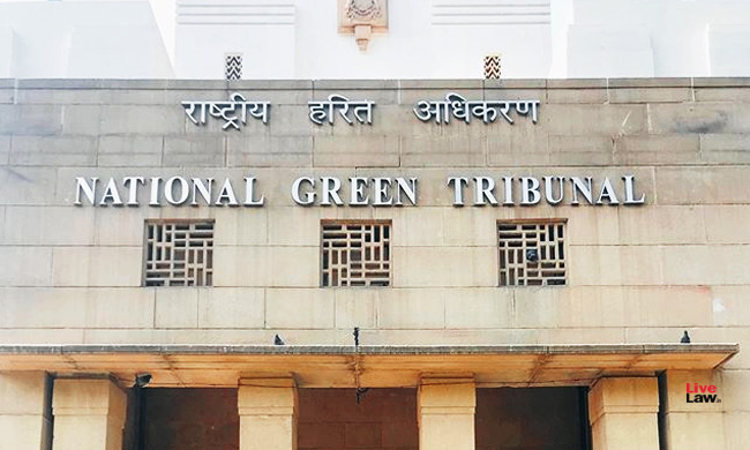 Noise Pollution From Vehicle Horns & Modified Exhausts: NGT Asks Rajasthan Govt To Comply With SC Directions Noise Pollution From Vehicle Horns & Modified Exhausts: NGT Asks Rajasthan Govt To Comply With SC Directions