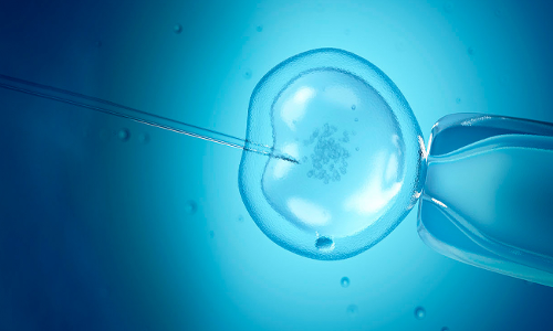 Merely Donating Eggs Or Sperm Does Not Make Donor A Biological Parent Of Child Born Through IVF: Bombay High Court