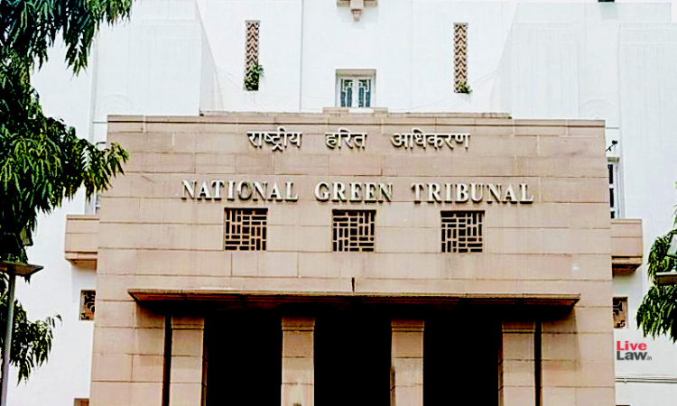 Enviornment Clearence To Wave City And High Tech City:  NGT Summons CEO Of Central Groundwater Authority [Read Order]