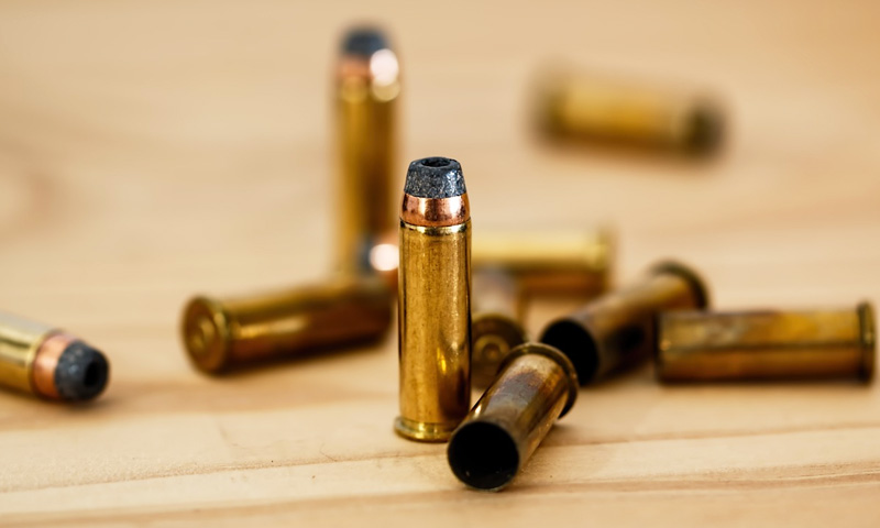 Live Ammunition In Baggage : Delhi HC Quashes FIR Against Lady Traveller [Read Order]