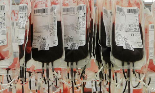 Gauhati High Court Directs Nagaland Govt To Inform On Availability of Blood Banks, Blood Storage Units In All 17 Districts