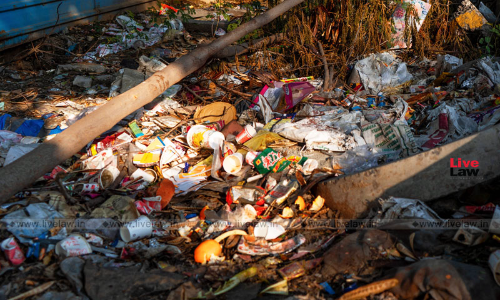 Rajasthan High Court Reviews Jodhpur Cleanliness Drive, Civic Chief Assures Disciplinary Action Against Erring Officials