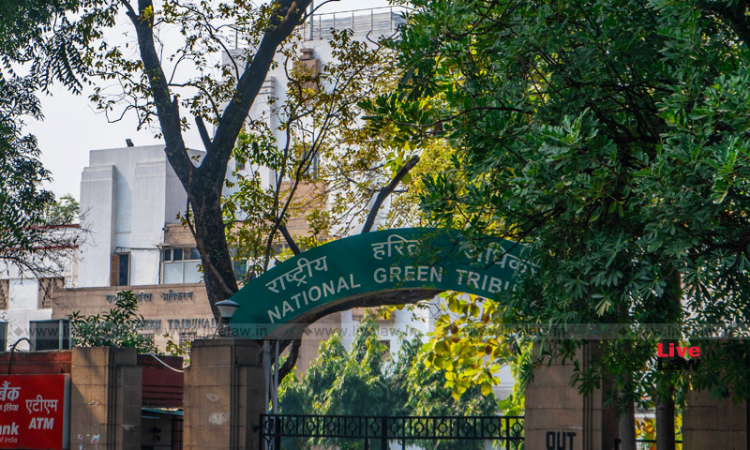 National Green Tribunal Forms Committee To File Action Taken Report On Environmental Degradation By Delhi’s 200 Parks, Green Areas National Green Tribunal Forms Committee To File Action Taken Report On Environmental Degradation By Delhi’s 200 Parks, Green Areas