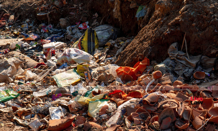 Rajasthan High Court Expresses Dissatisfaction Over City Cleanliness, Says Fines May Be Imposed On Citizens For Improper Garbage Disposal