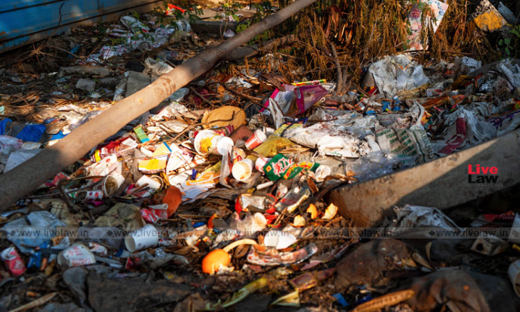 Rajasthan High Court Reviews Jodhpur Cleanliness Drive, Civic Chief Assures Disciplinary Action Against Erring Officials Rajasthan High Court Reviews Jodhpur Cleanliness Drive, Civic Chief Assures Disciplinary Action Against Erring Officials