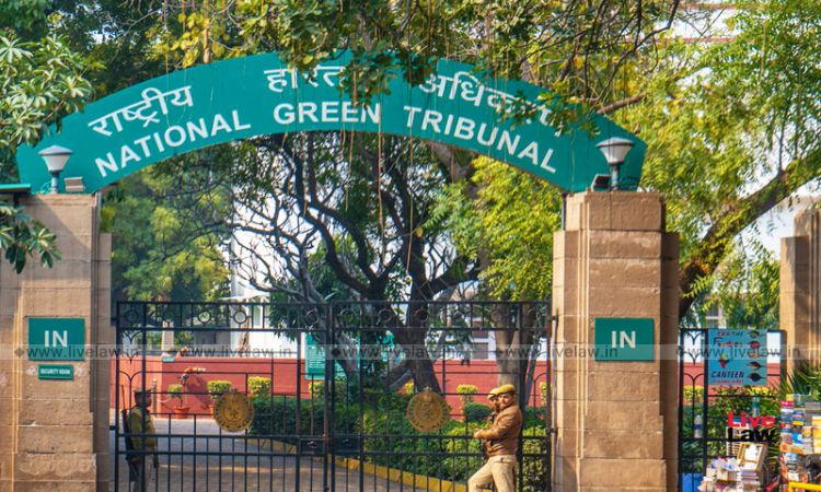 Pollution, Ganga Tributaries, Varanasi, NGT, national green tribunal, Progress Monitoring, Action Plan, Restoration, Varuna, Assi Rivers, Justice Adarsh Kumar Goel, Chairperson, Justice Sudhir Agarwal, and Dr. Nagin Nanda, Pollution, Ganga Tributaries, Varanasi, NGT, national green tribunal, Progress Monitoring, Action Plan, Restoration, Varuna, Assi Rivers, Justice Adarsh Kumar Goel, Chairperson, Justice Sudhir Agarwal, and Dr. Nagin Nanda,