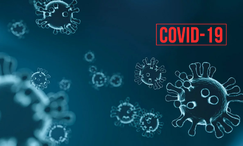 Indian Pandemic Control Laws Indian Pandemic Control Laws