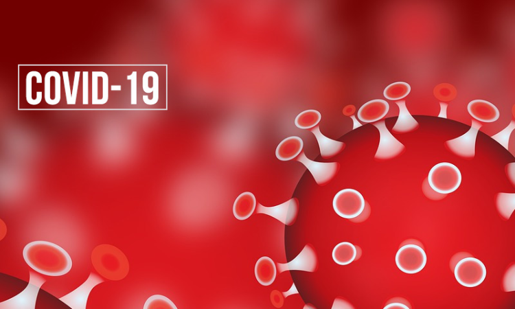 Coronavirus And The Constitution – IV: Privacy In A Public Health Crisis Coronavirus And The Constitution – IV: Privacy In A Public Health Crisis