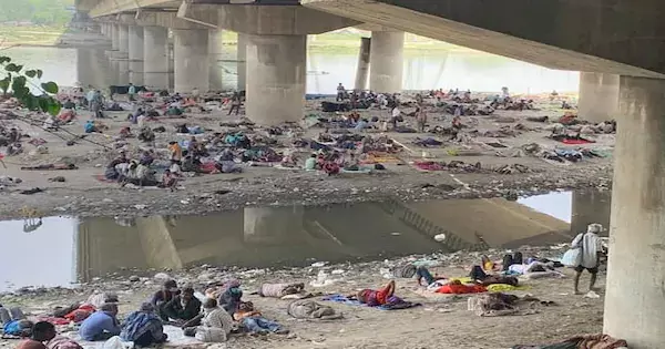 Gujarat High Court Registers Suo Moto PIL To Regulate Road Discipline & To Give Shelter To Weaker Section Gujarat High Court Registers Suo Moto PIL To Regulate Road Discipline & To Give Shelter To Weaker Section
