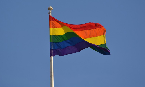 Take Immediate Steps To Set Up Grievance Redressal Forum In Compliance Of S. 11 Of The Transgender Act Of 2019: Calcutta High Court To Govt.